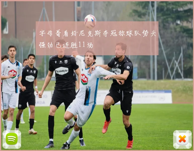 字母哥看好尼克斯夺冠称球队势头强劲已连胜11场